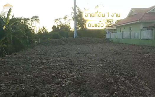 ขายที่ดิน 1 งานลำลูกกา
