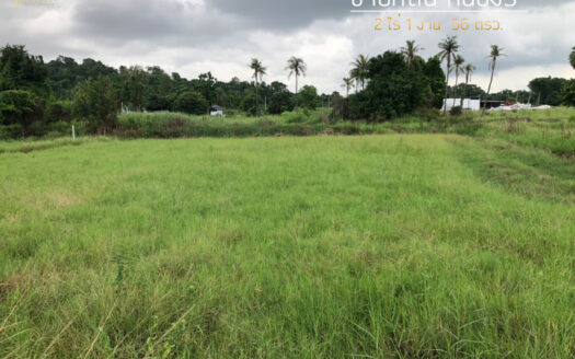 ขายที่ดินหนองรีชลบุรี