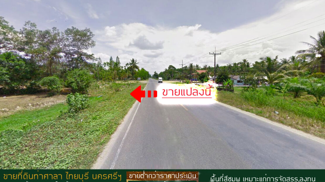 ขายที่ดินไทยบุรี ท่าศาลา นครศรีธรรมราช
