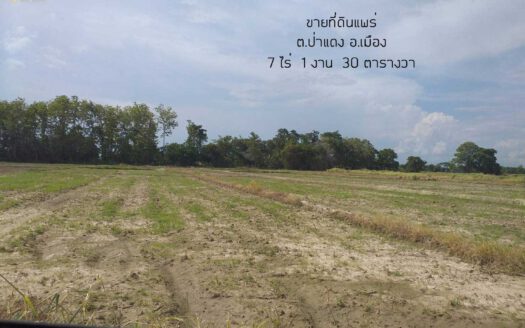 ขายที่ดินแพร่