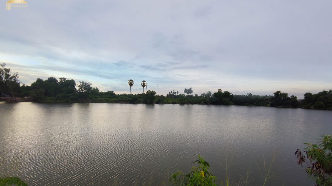 ขายที่ดินโรงงานนาป่าชลบุรี