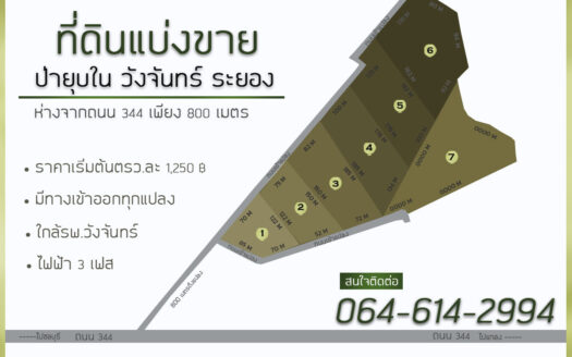 ที่ดินป่ายุบวังจันทร์