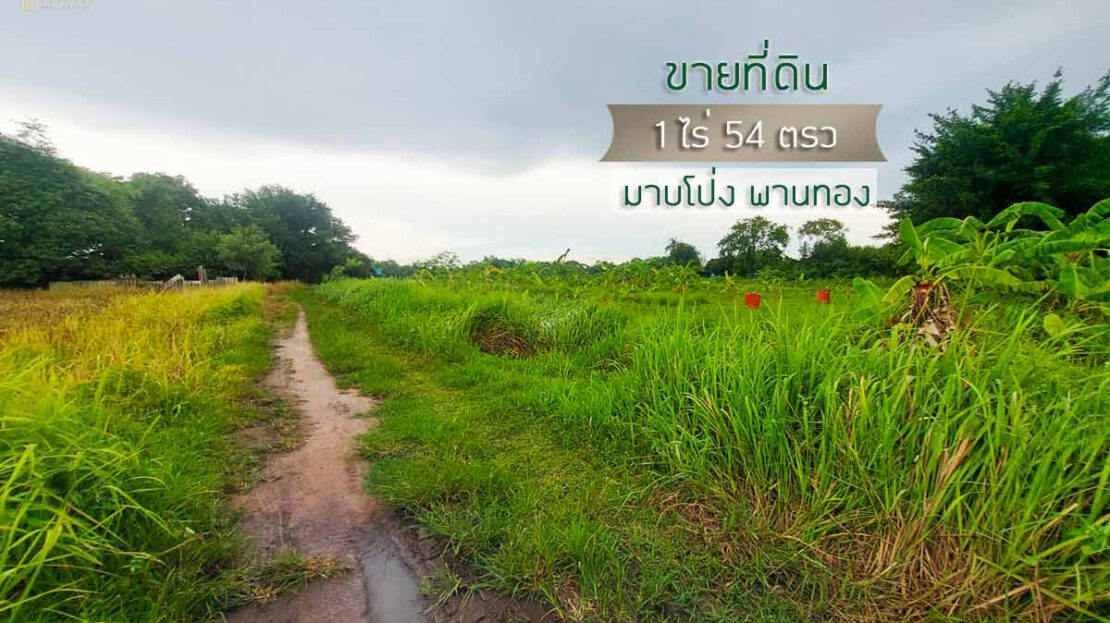 ขายที่ดิน1ไร่มาบโป่ง