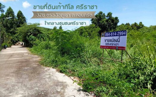 ชายที่ดินเก้ากิโล