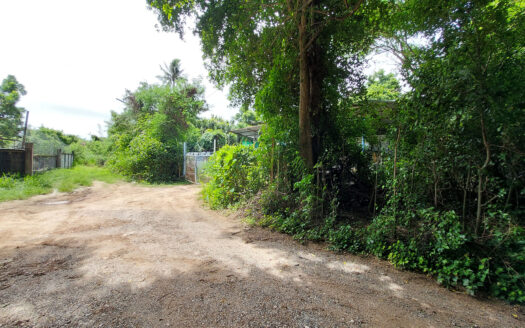 ขายที่ดินผังสีแดง 100 ตรว. สุรศักดิ์ ศรีราชา ราคาดีสุดๆ