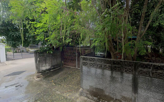ขายที่ดินแปลงสวย 87ตรว ใกล้สวนสาธารณะชายทะเลบางพระ และถนนสุขุมวิท ศรีราชาชลบุรี