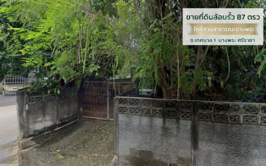 ขายที่ดินแปลงสวย 87ตรว ใกล้สวนสาธารณะชายทะเลบางพระ และถนนสุขุมวิท ศรีราชาชลบุรี
