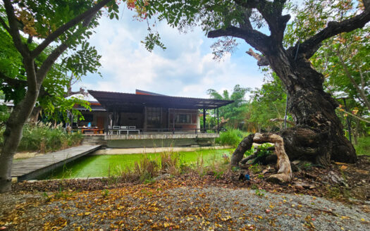 บ้านพักตากอากาศใกล้กทม 5-1-18 ตรว หนองเหียง พนัสนิคม ชลบุรี