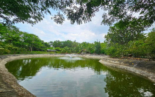 บ้านพักตากอากาศใกล้กทม 5-1-18 ตรว หนองเหียง พนัสนิคม ชลบุรี