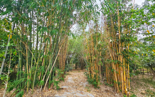 บ้านพักตากอากาศใกล้กทม 5-1-18 ตรว หนองเหียง พนัสนิคม ชลบุรี