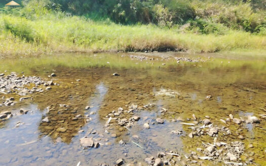ขายที่ดินพร้อมสวนลำไย สอยดาว จันทบุรี 20ไร่ 2 งาน 20 ตรว