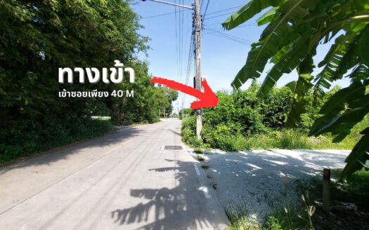 ขายที่ดินซอยบ้านสวนเศรษฐกิจ 150 ตรว หนองรี ชลบุรี