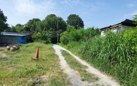 ขายที่ดินซอยบ้านสวนเศรษฐกิจ 150 ตรว หนองรี ชลบุรี