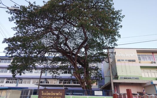 ขายบ้านพักพร้อมบ้านเช่า 7 หลัง ผู้เช่าเต็ม ศรีราชา ทำเลใกล้มอเตอร์เวย์ สร้างรายได้ทันที