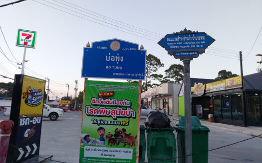 ขายบ้านพักพร้อมบ้านเช่า 7 หลัง ผู้เช่าเต็ม ศรีราชา ทำเลใกล้มอเตอร์เวย์ สร้างรายได้ทันที